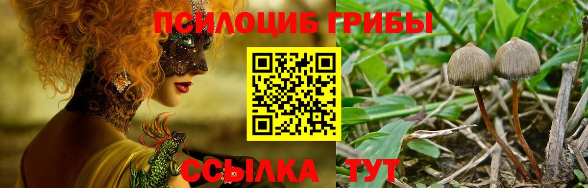 Псилоцибиновые грибы Psilocybine cubensis  Галлюциногенные грибы MAGIC MUSHROOMS  Лосино-Петровский  магазин продажи   Вход с VPN 